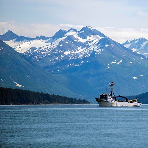 Our history- country specific option 3- header SPOTLIGHT