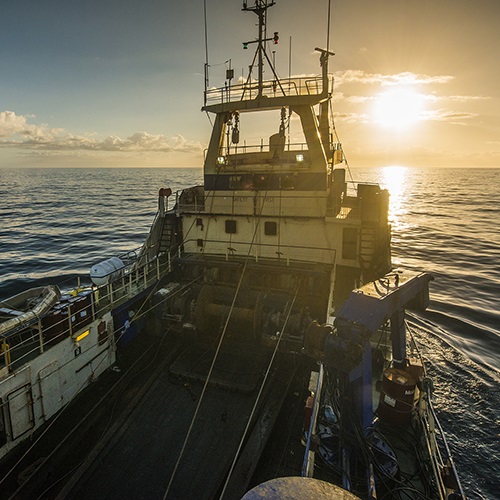 De MSC traceerbaarheid standaard