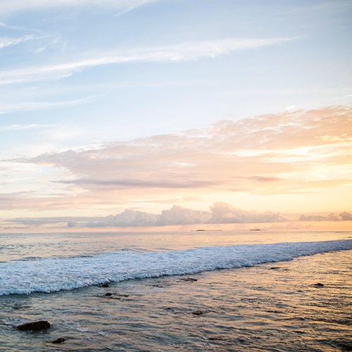 プレスリリース