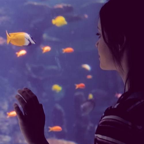Teach and learn ocean literacy