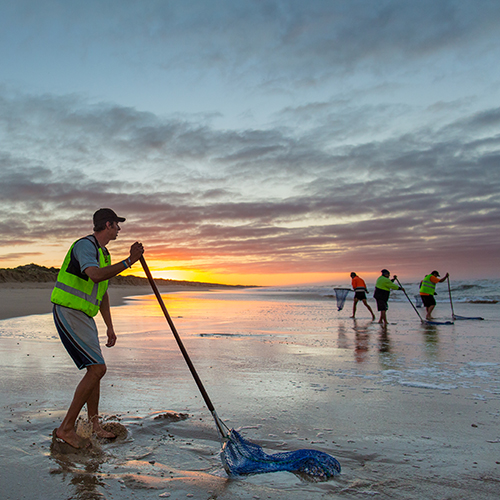 Fisherman collecting pipis, foregrounding the sunrise and other fishermen collecting pipis