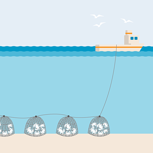 Pots and traps fishing