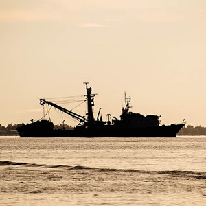 MSC Fisheries Standard v3.0