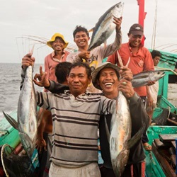 Indonesian Pole and Line fishers Indonesian Pole and Line fishers
