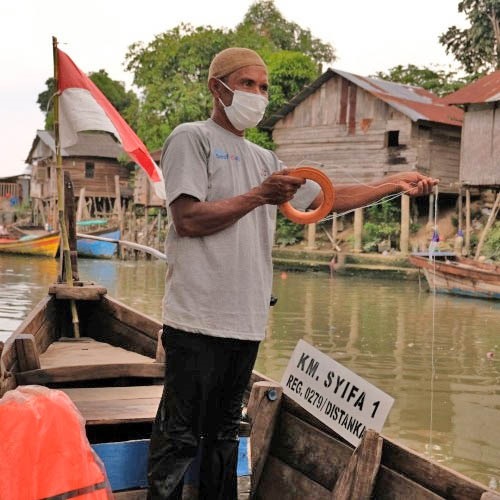 Minimising fishing impacts on Indonesian squid