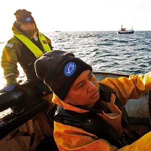 Certified fisheries improving