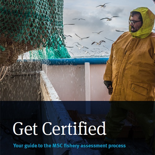 Guida alla certificazione delle aziende di pesca