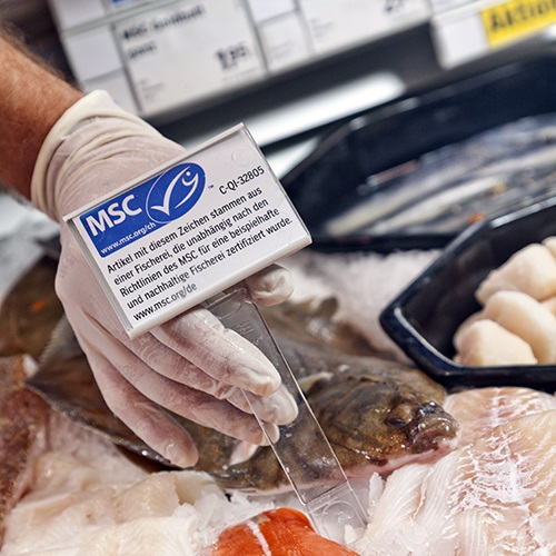 Gebruik het MSC keurmerk