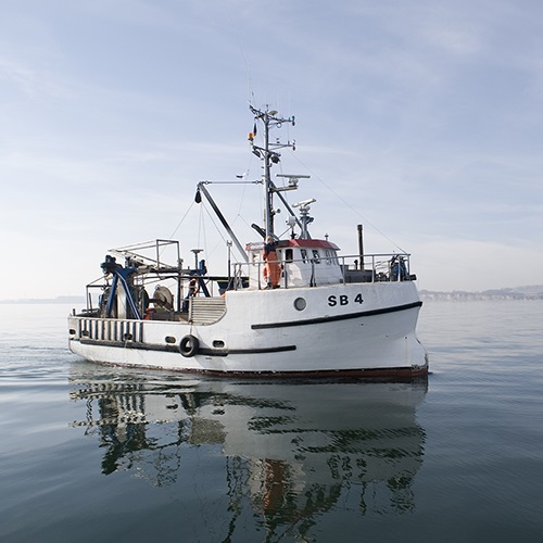 At-sea monitoring and surveillance