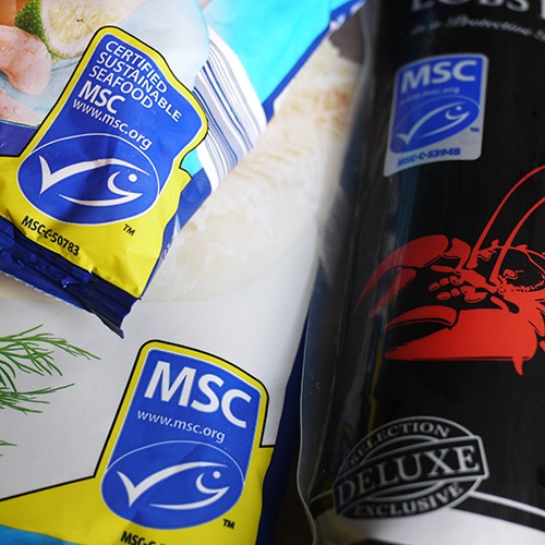Approuver mon utilisation du label MSC