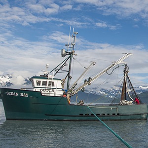 Rapporter og brochurer