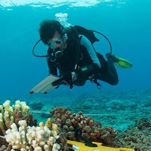 Den Ocean Stewardship Fund kennenlernen