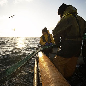 Externe Richtlinien, an die wir uns halten