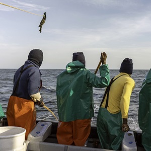 Was ist ökologisch nachhaltige Fischerei?
