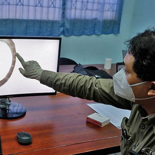 Poprawa zarządzania kałamarnicami na Sumatrze Północnej