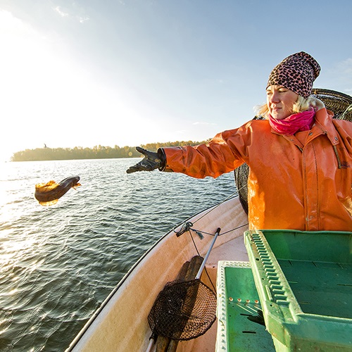 Sovrapesca, pesca illegale e distruttiva