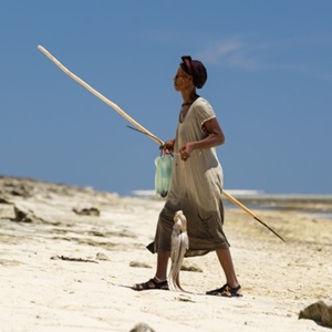Southwest Indian Ocean Octopus Project (SWIOCeph)