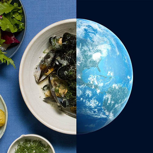 The Blue Cookbook Mussels and Earth