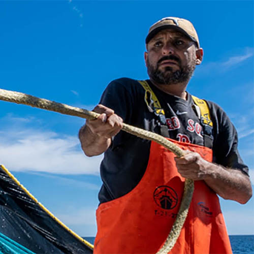 Seis conclusões sobre o estado das pescas no mundo