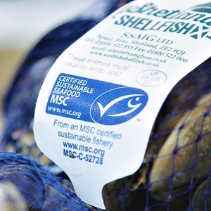 Mitä sininen MSC-merkki kertoo?