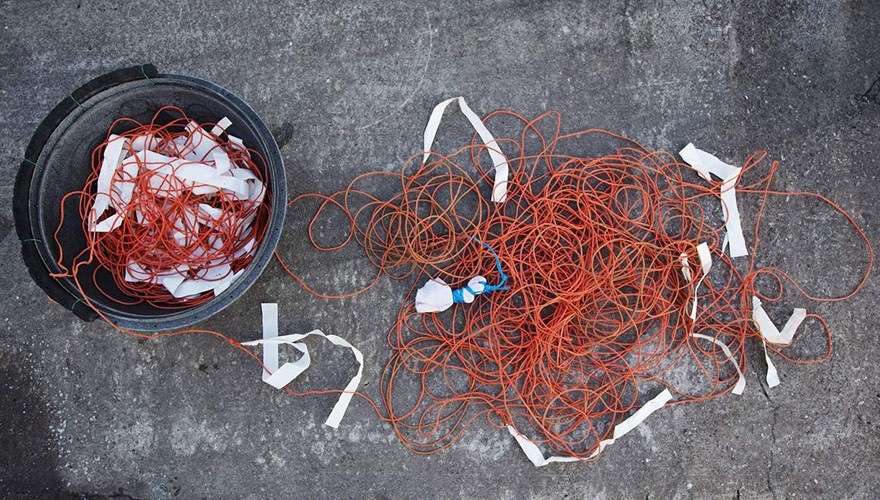 Bucket with red bird scarring lines and streamers