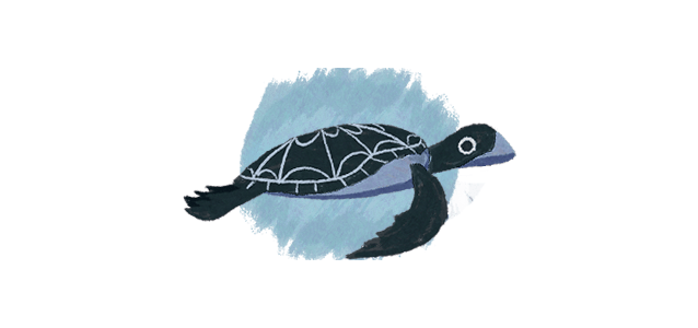 2. Bycatch