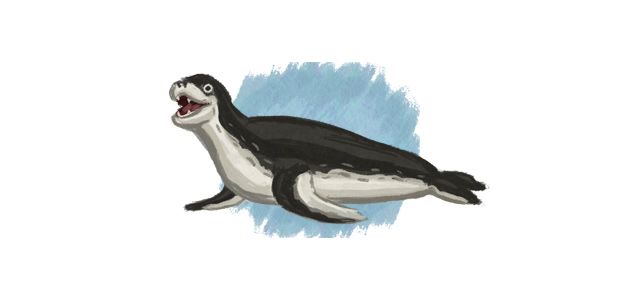 Illustration of a seal