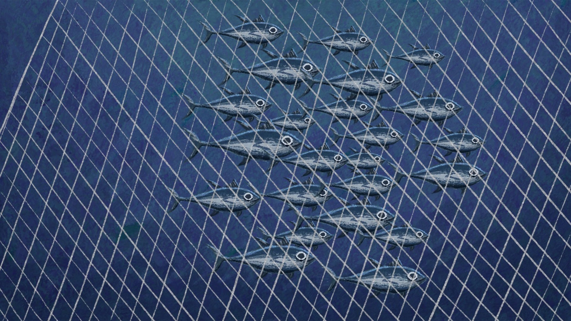 Why are fish stocks declining?