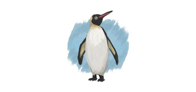 penguin illustration