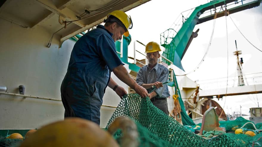 Fishermen - From Collapse to Conservation