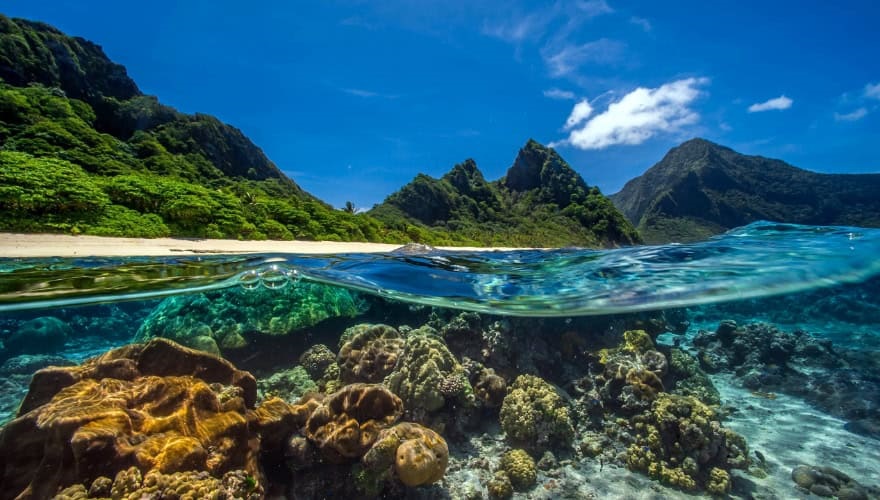 Beach and green hills on land and coral underwater, photographed from water line