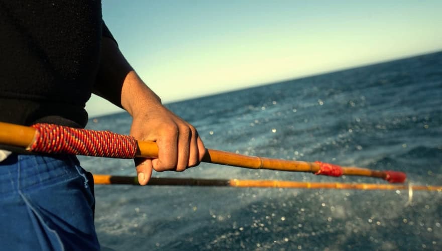 Albacore Tuna Pole and Line - 3