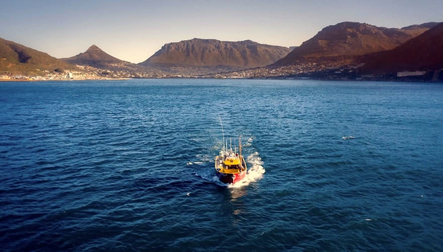 Albacore Tuna Pole and Line - 7