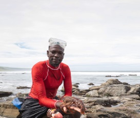 East Coast Rock Lobster