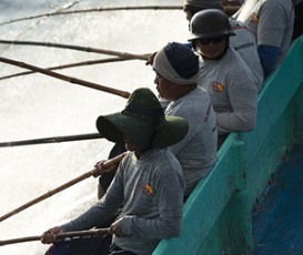 Fish for Good - Indonesia