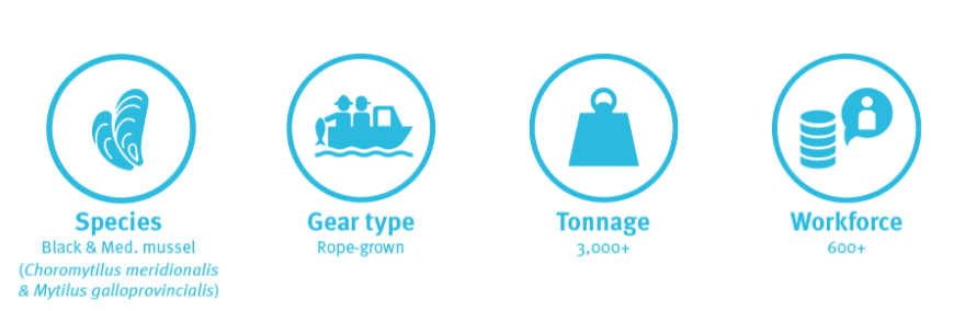 SALDANHA BAY ROPE-GROWN MUSSELS Fishery profile