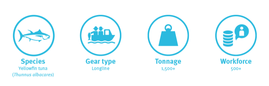 YELLOWFIN TUNA LONGLINE - Fishery profile
