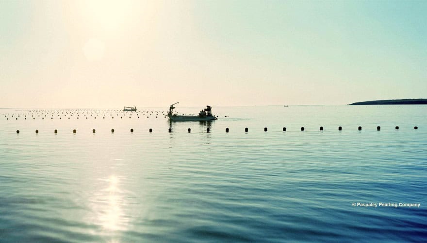 Small pearl oyster fishing boat and buoys on water with low sun