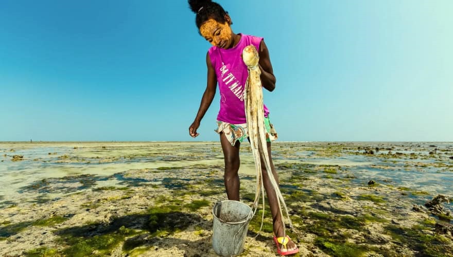 SWIOCEPH Symposium - 5