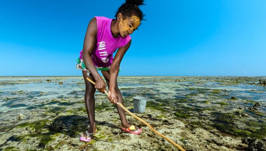 SWIOCEPH Symposium - 4