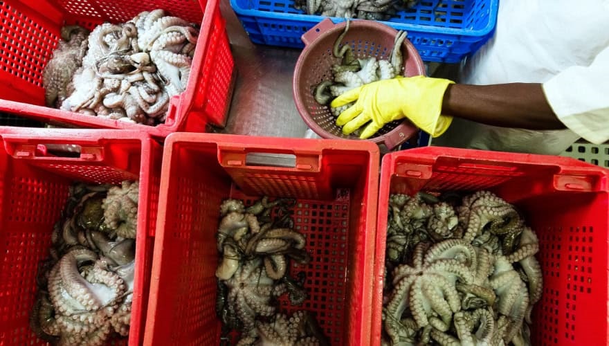 SWIOCEPH Symposium - 7