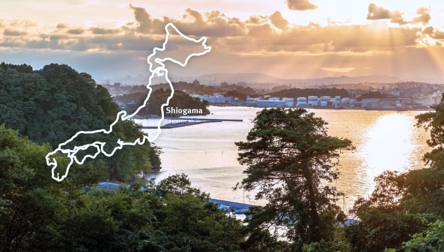 Tuna fishing after the tsunami