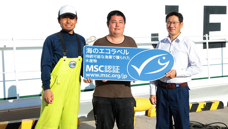 Tuna fishing after the tsunami