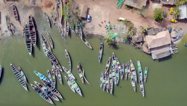 Mauritania Small Pelagics