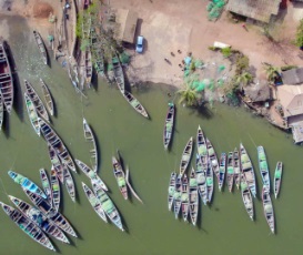 Petits Pélagiques de Mauritanie