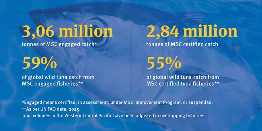 MSC tuna figures as of November 2024