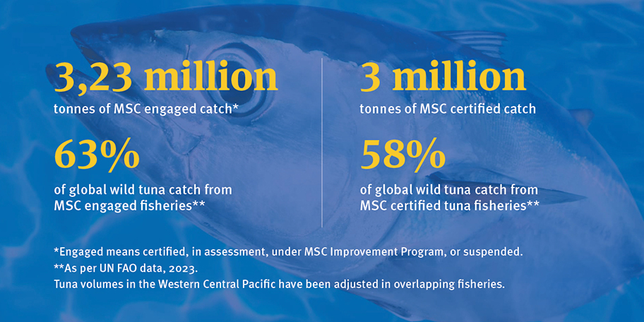 Tuna_Newsletter_March2025 MSC tuna figures as of November 2024
