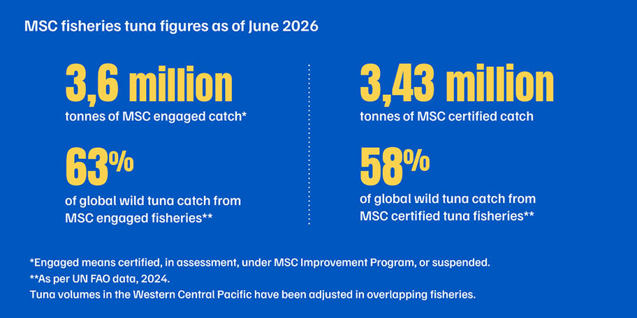 Tuna fisheries key figures June 2026 Infographic: Fisheries tuna figures June 2026