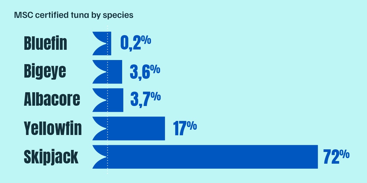 Tuna Newsletter March 2026