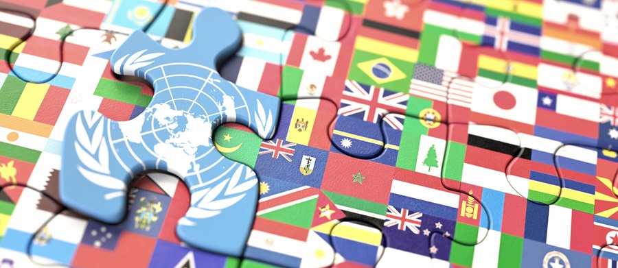 United Nations World flags - COP-15: An insider’s perspective